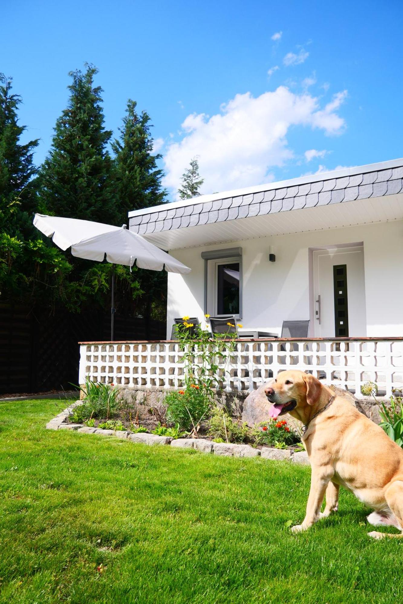 Haus Kleiner Findling Im Lausitzer Seenland Tätzschwitz Exterior foto